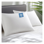 2-Pack Hypoallergenic Bamboo Viscose Shell Soft Bed Pillows