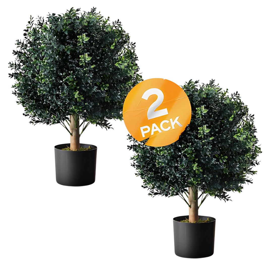 Set Of 2 Botaro Tresil Pre-Potted Topiary (24")