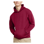 Hanes Unisex Adults Pullover EcoSmart Hooded Sweatshirt (Various)