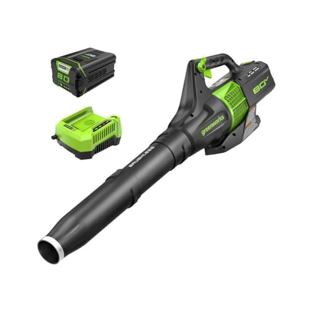 Greenworks Cordless Brushless Axial Leaf Blower w/2.5Ah Battery & Charger