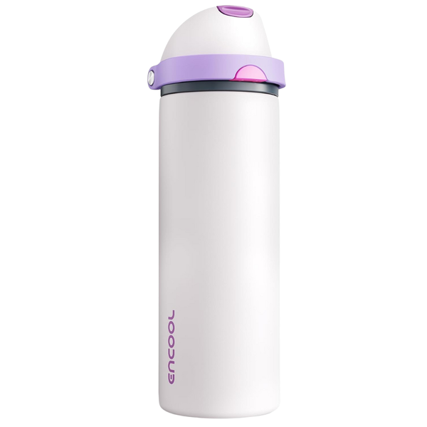 24-Oz Insulated Stainless Steel Water Bottle With Straw