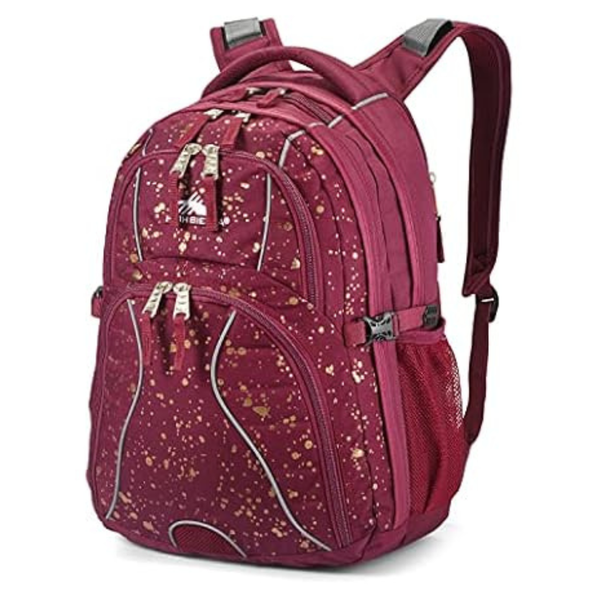 High Sierra Swerve Laptop Backpack (2 Colors)