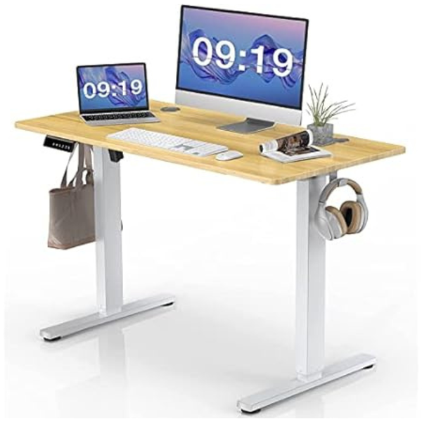 SMUG 55" x 24" Electric Height Adjustable Computer Desk