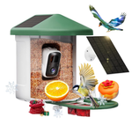 Smart Bird Feeder Camera With AI Identify Bird Species