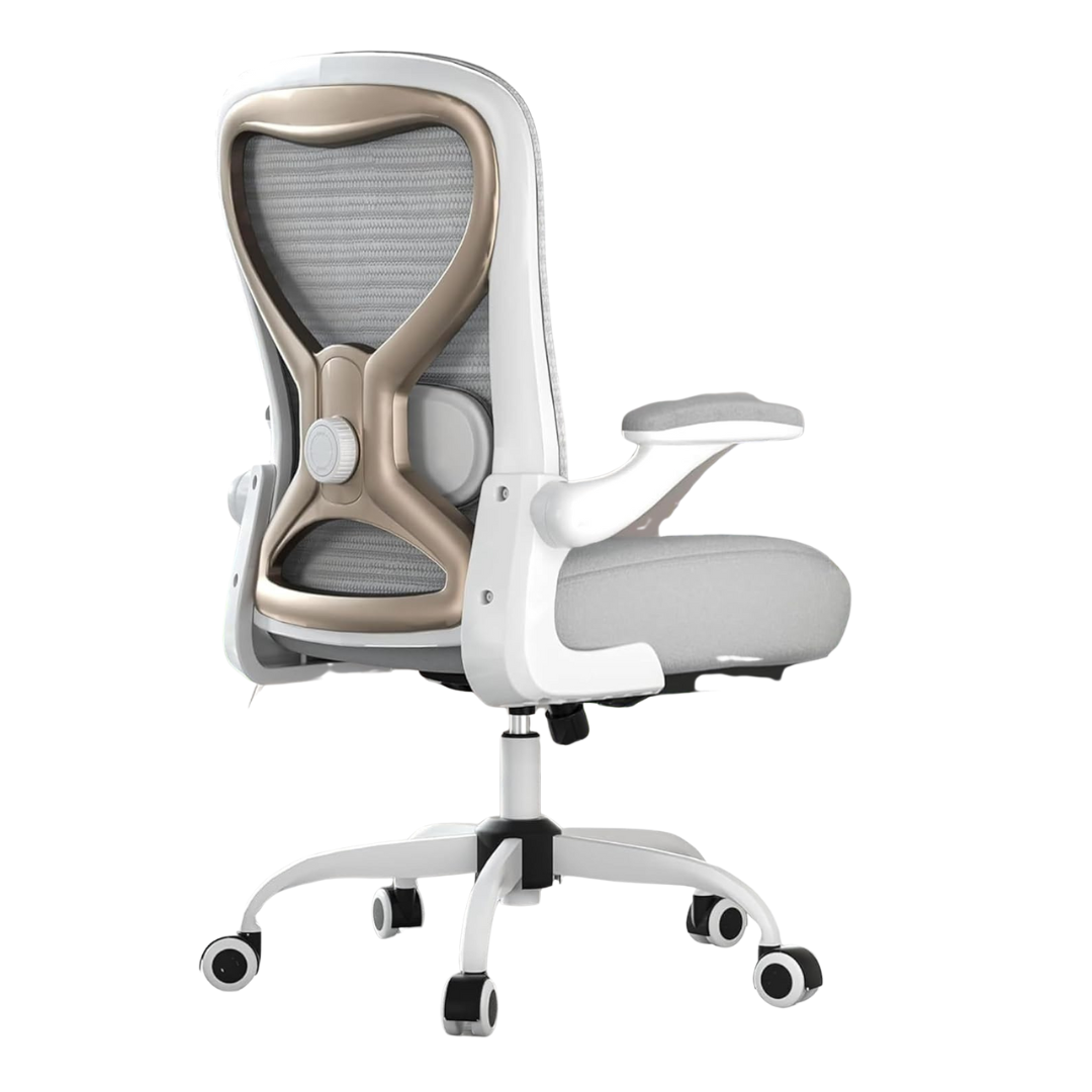 Casasio Ergonomic Lumbar Support Office Desk Chair