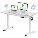 FlexiSpot 48" x 24" Height Adjustable Electric Sit Stand Desk (White)