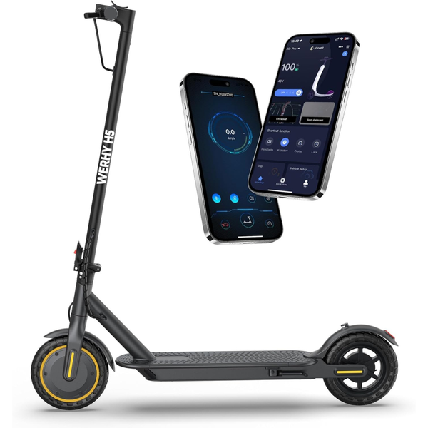 Werhy 350W/500W Motor Foldable E-Scooter for Adults