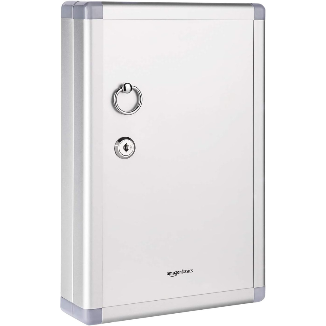 Amazon Basics 24-Key Position Cabinet lock Box