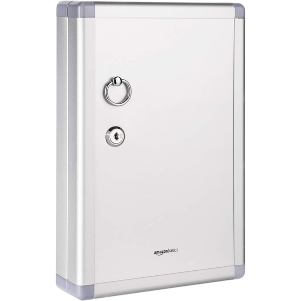 Amazon Basics 24-Key Position Cabinet lock Box