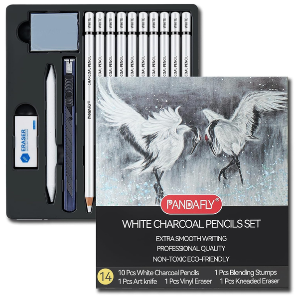 24-Piece Charcoal Drawing Set