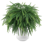 12-Piece 18" Christmas Norfolk Artificial Pine Stems