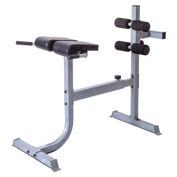 CAP Strength Roman Chair (Gray)