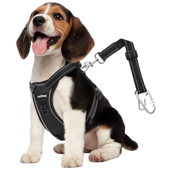 Adjustable Mesh Breathable Dog Seat Belt Harness For Car