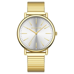 Holstour Women's Stainless Steel Strap Watch