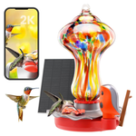 Glass Smart Hummingbird Feeder With 2K HD Camera