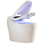 Tankless One Piece Bidet Smart Toilet With Warm Water Sprayer