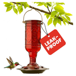 20oz More Birds Red Jewel Glass Hummingbird Feeder