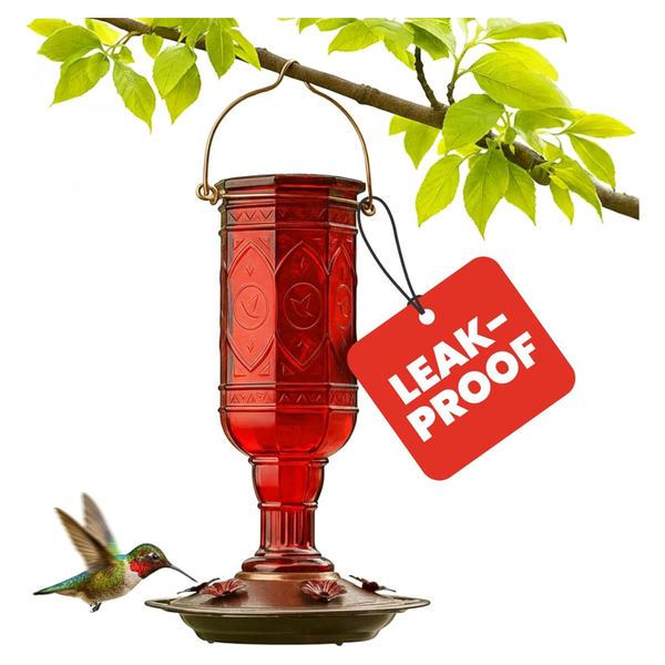 20oz More Birds Red Jewel Glass Hummingbird Feeder