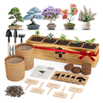 Plantmew Beginner Bonsai Starter Kit with Tools & Seeds
