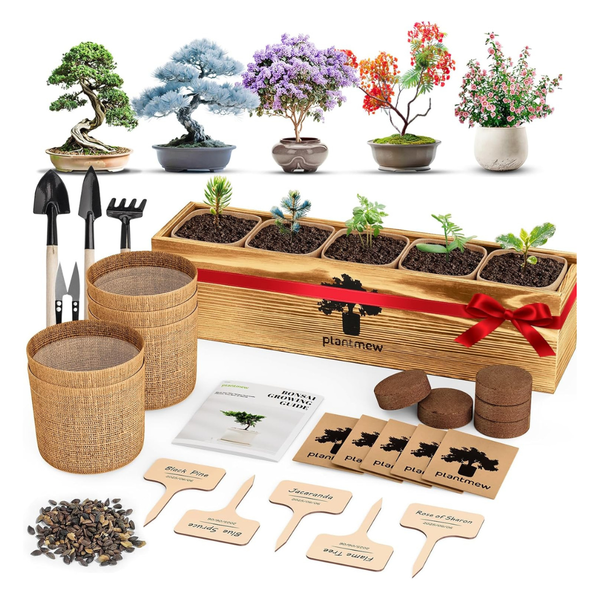 Plantmew Beginner Bonsai Starter Kit with Tools & Seeds
