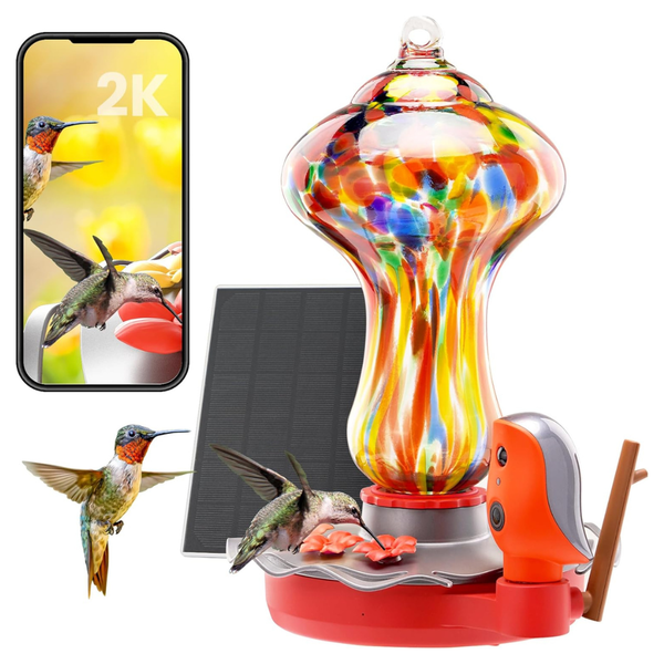 Glass Smart Hummingbird Feeder W/ Solar 2K HD Camera
