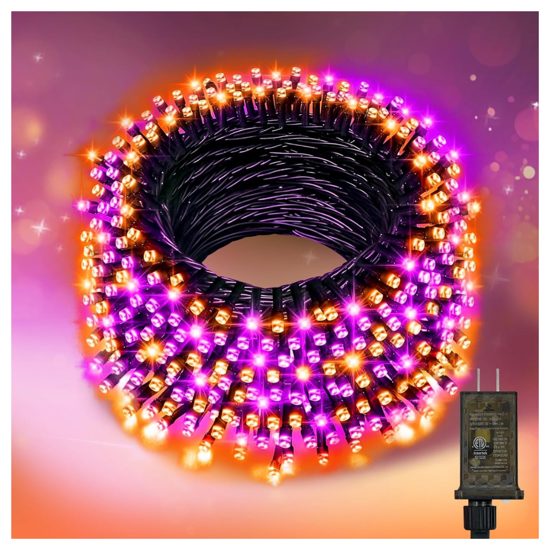 66FT Waterproof Outdoor LED String Fairy Lights