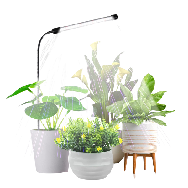 Plants Growing 6000K Light, Auto On/Off Timing & 5 Dimming