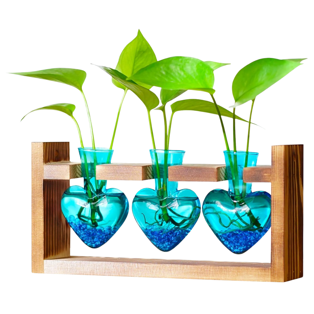 Nacome Plant Terrarium Propagation Stations