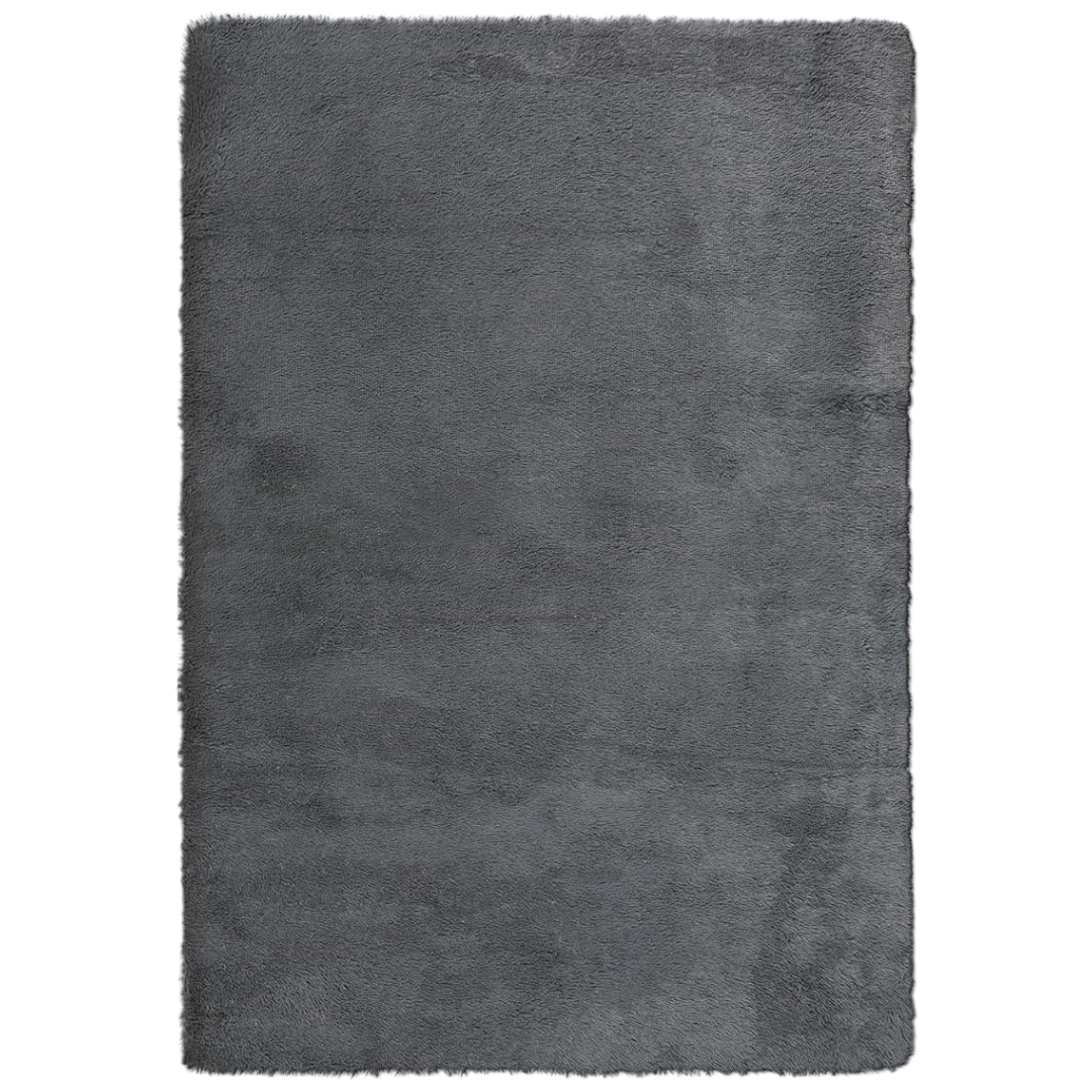 PureCozy 4' x 6' Modern Shaggy Soft Washable Fluffy Rugs