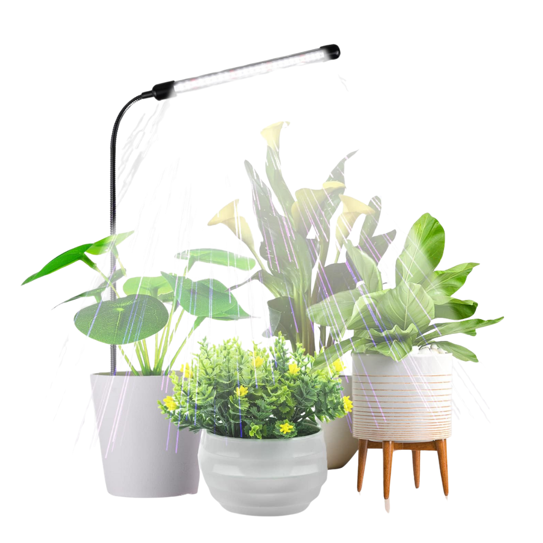 Plants Growing 6000K Light, Auto On/Off Timing & 5 Dimming