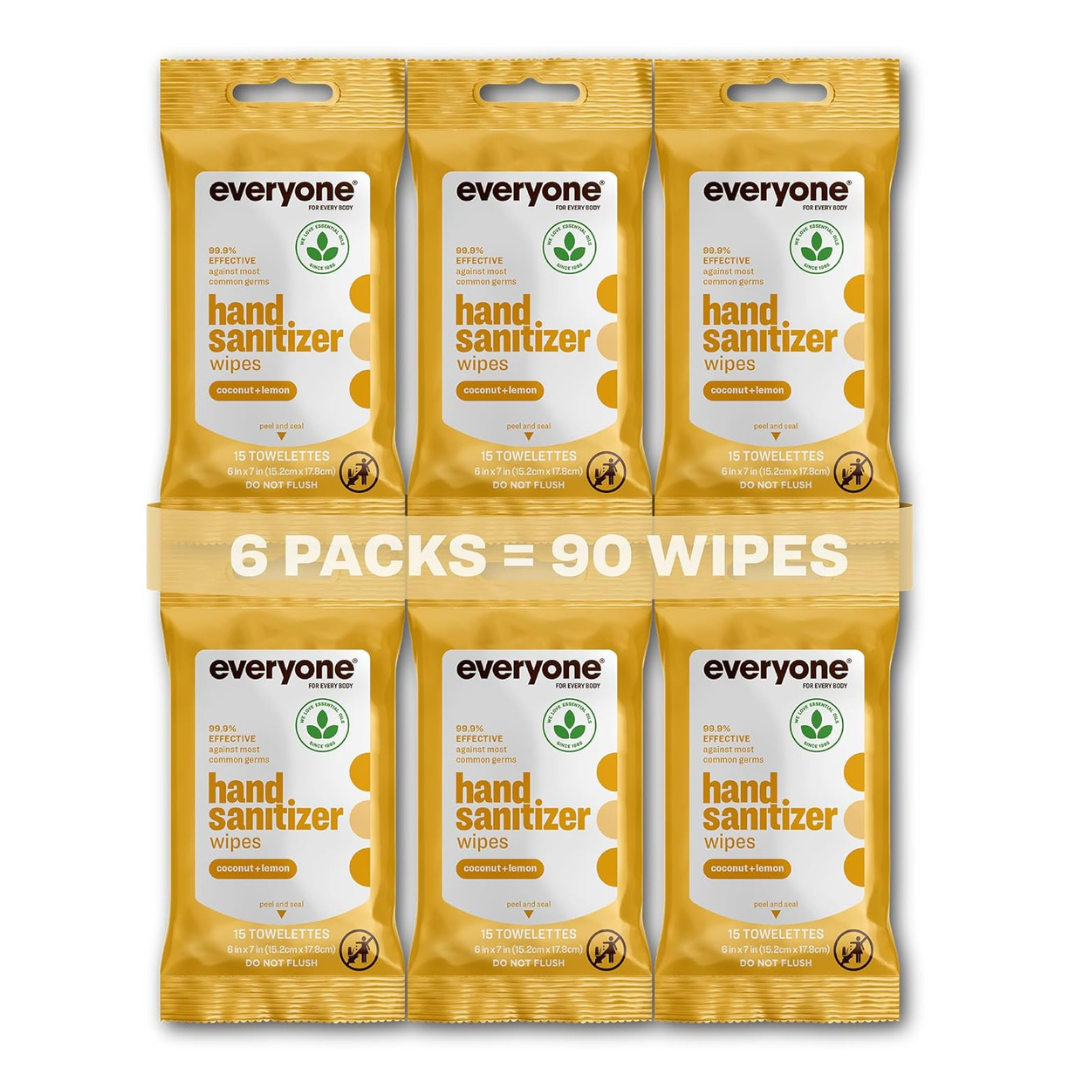 90-Count (6-pk x 15-ct) Everyone Hand Sanitizer Wipes