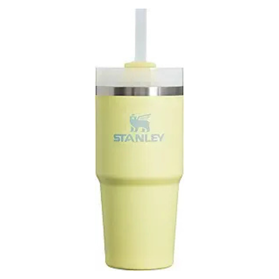 14oz Stanley Quencher H2.0 FlowState Stainless Steel Vacuum Insulated Tumbler