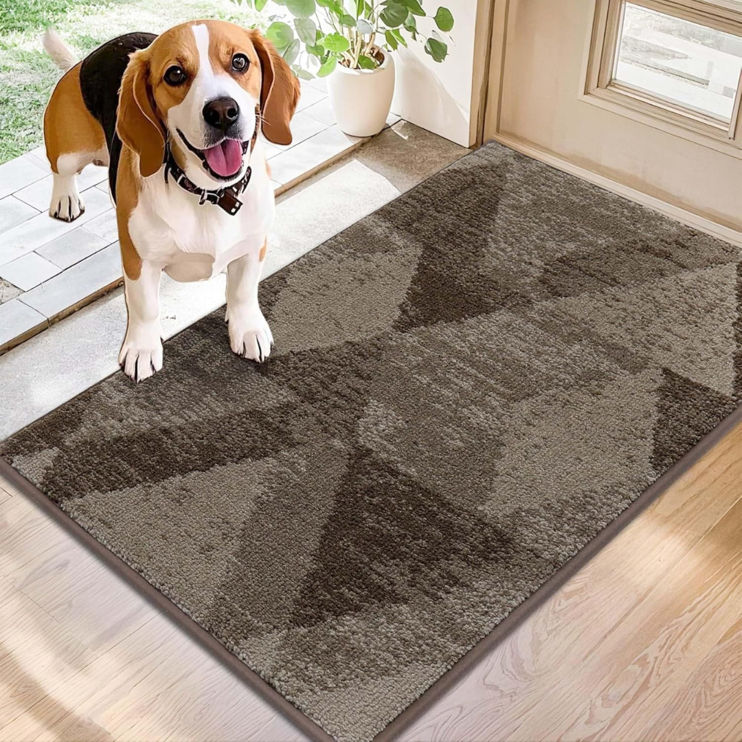 20" x 32" Non-Slip Absorbent Polyester Entryway Doormat
