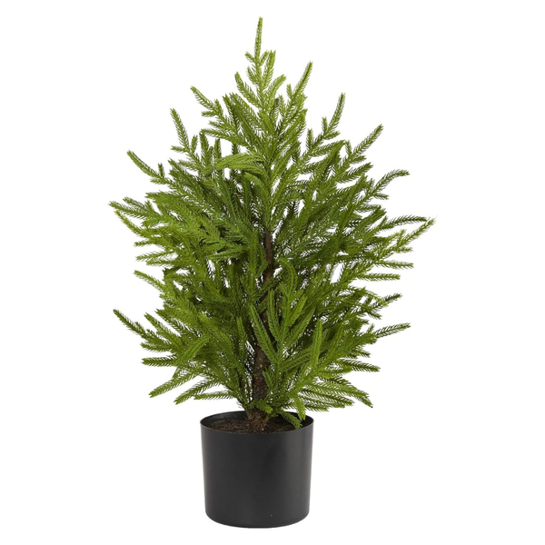 Nearly Natural 2ft. Norfolk Island Pine Natural Look Artificial Tree