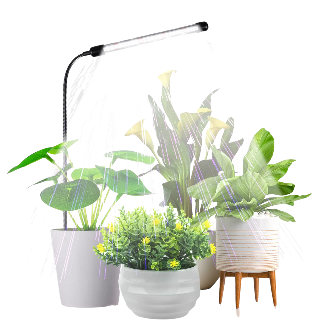 Plants Growing 6000K Light, Auto On/Off Timing & 5 Dimming