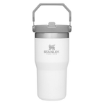 Stanley 20 Oz Vacuum Insulated Tumbler With Straw