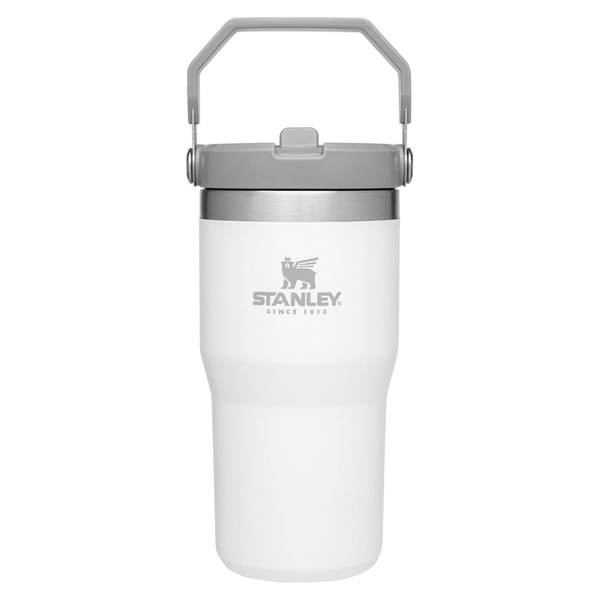 Stanley 20 Oz Vacuum Insulated Tumbler With Straw