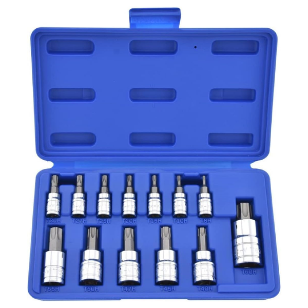 13-Piece Neiko TP Torx 10073A Bit Socket Set