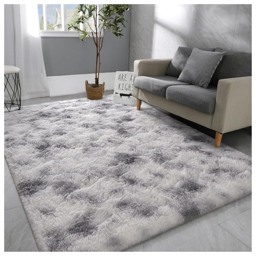 4' x 6' Large Super Soft Fluffy Modern Area Rug