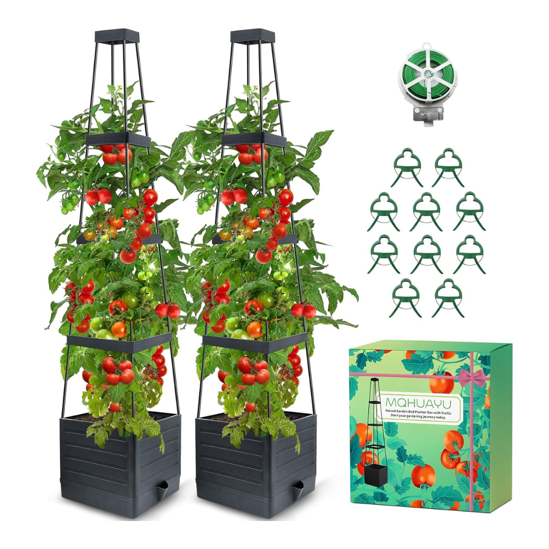 2 Pack Raised Garden Bed Planter Box with Trellis