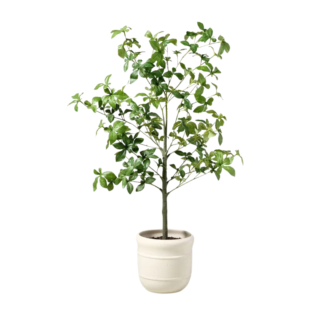Hearth & Hand Magnolia 33" Faux Potted Gypsophila Leaf Tree