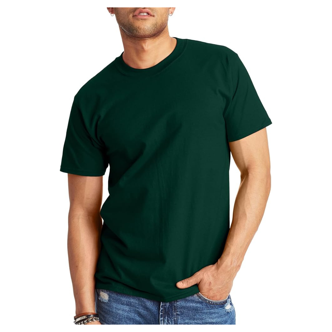 Hanes Men's Beefyt T-shirt (Various)