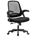 Ergonomic Lumbar Back Support Flip-up Padded Adjustable Gaming Chair