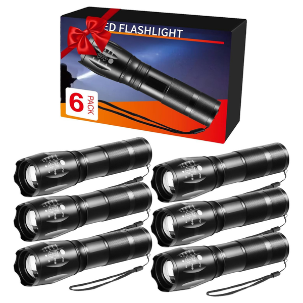 6-Pack High Lumens Bright LED Pocket Flashlights