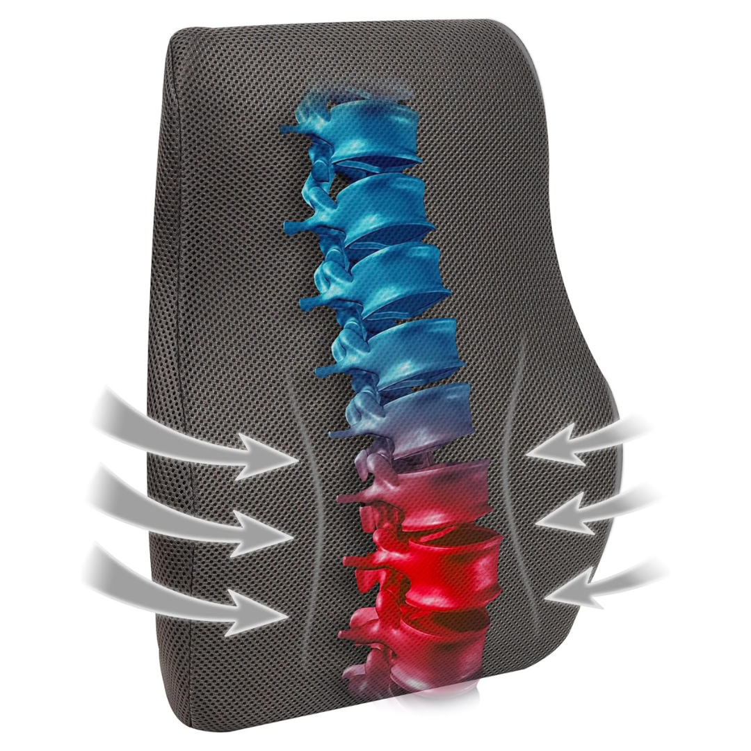Mind Reader Ergonomic Memory Foam Lumbar Cushion