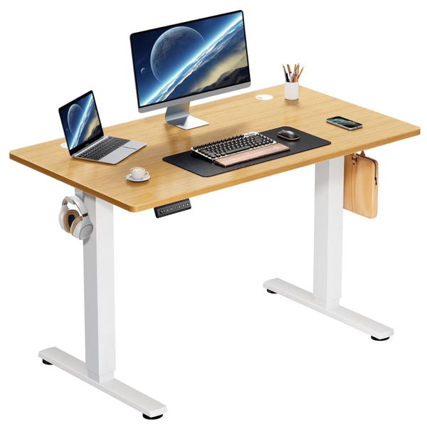 edx 40" x 24" Single Motor Electric Standing Desk