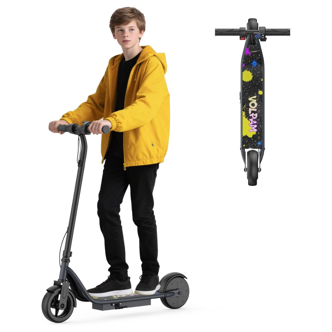 C003 LED Display 3 Speeds 250WMotor Electric Scooter