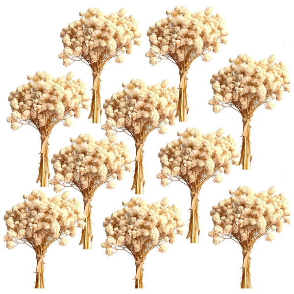 Moorchoco 100+ Pcs Mini Dried Baby's Breath Flowers
