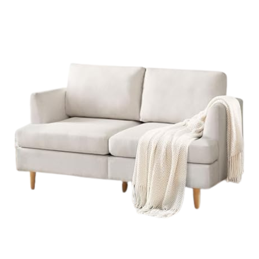56" BFD Mid Century Modern Extra Deep 2-Seat Sofa Loveseat