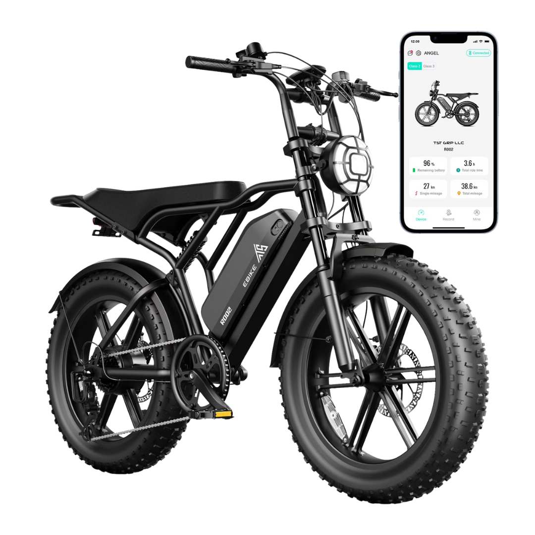TST 750W Peak 1500W Motor 20" x 4" Fat Tire Electric Bike